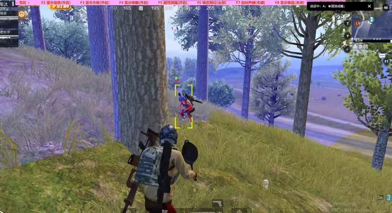 和平精英【锦鲤内核】辅助外挂